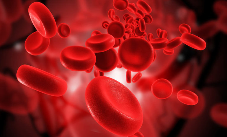 αιμοπετάλια, κομμάτια αίματος