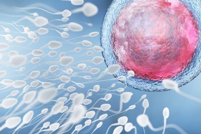 Η ανάλυση σπέρματος είναι μια δοκιμή ανδρικής γονιμότητας