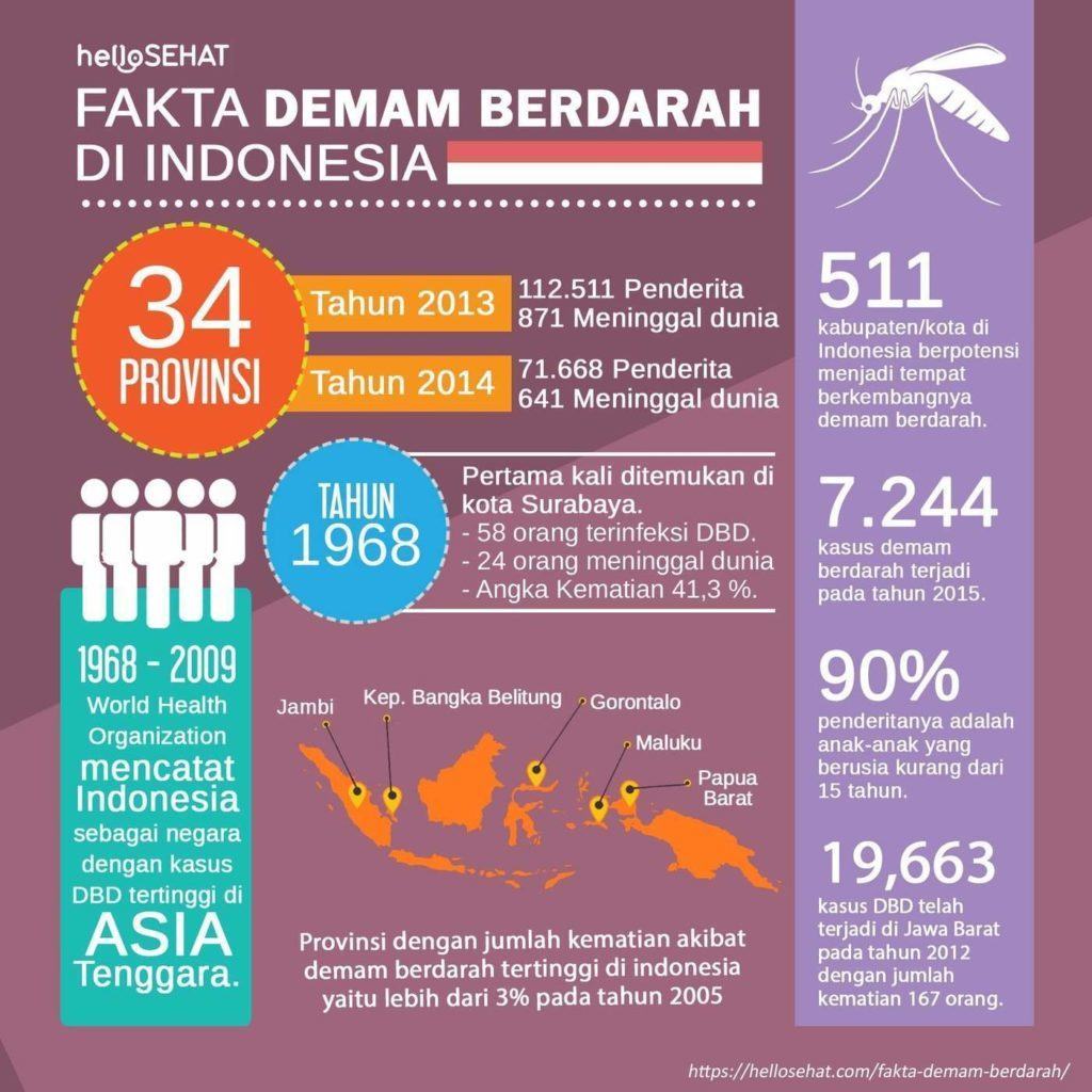 δάγκειος πυρετός hellosehat στην Ινδονησία